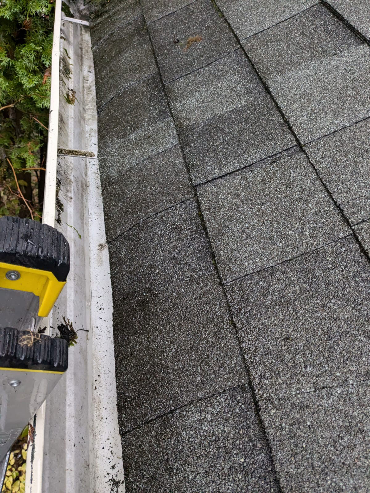 Clean and dry gutters