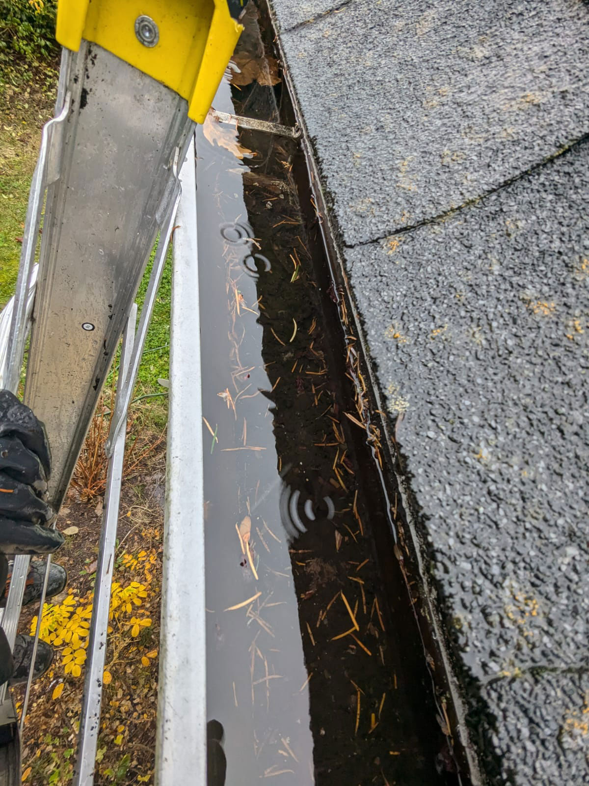 Before shot of dirty gutter fill with water, leaves, and pine needles