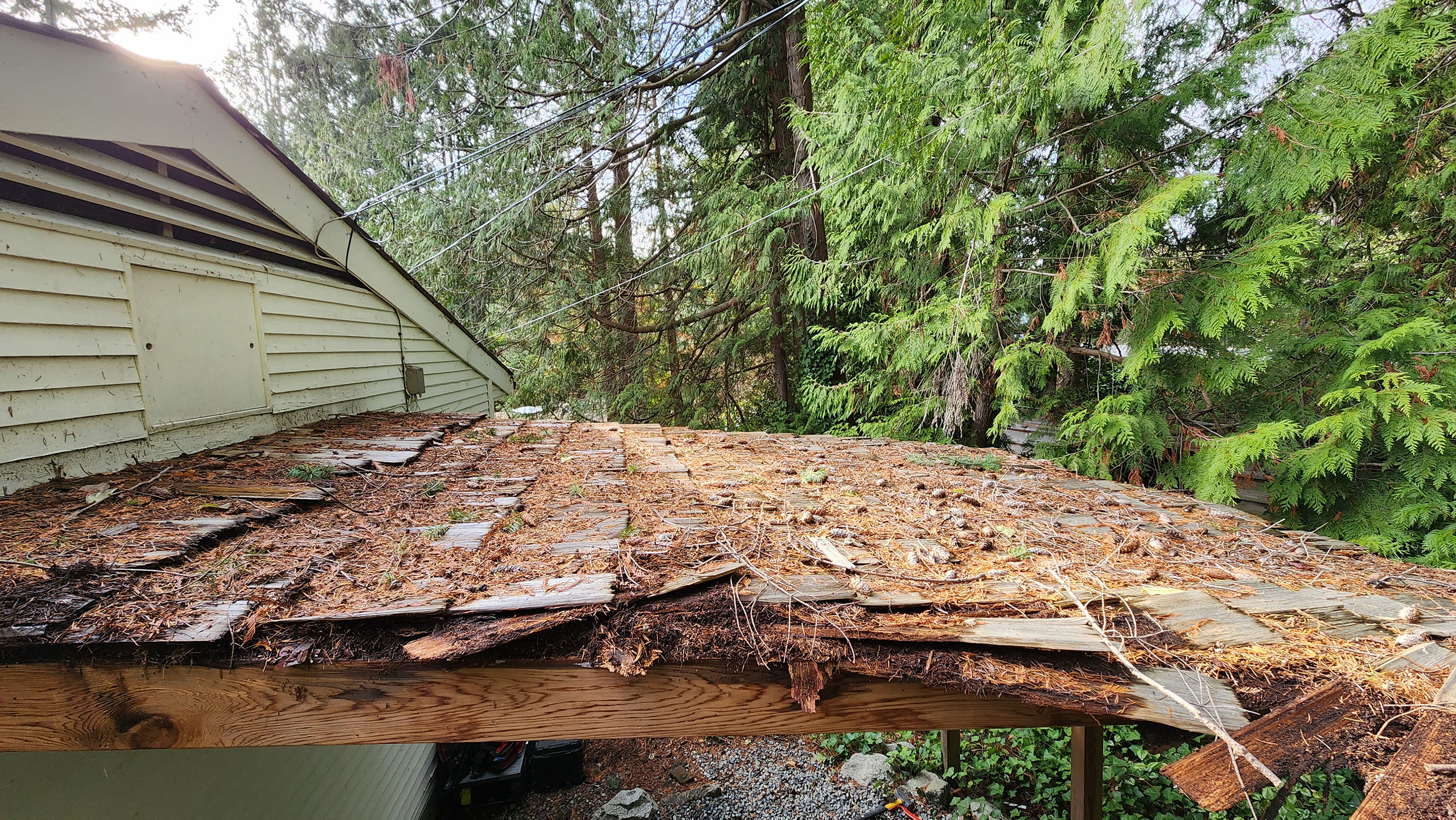 Roof tiles covered with a thick layer leaves and debris