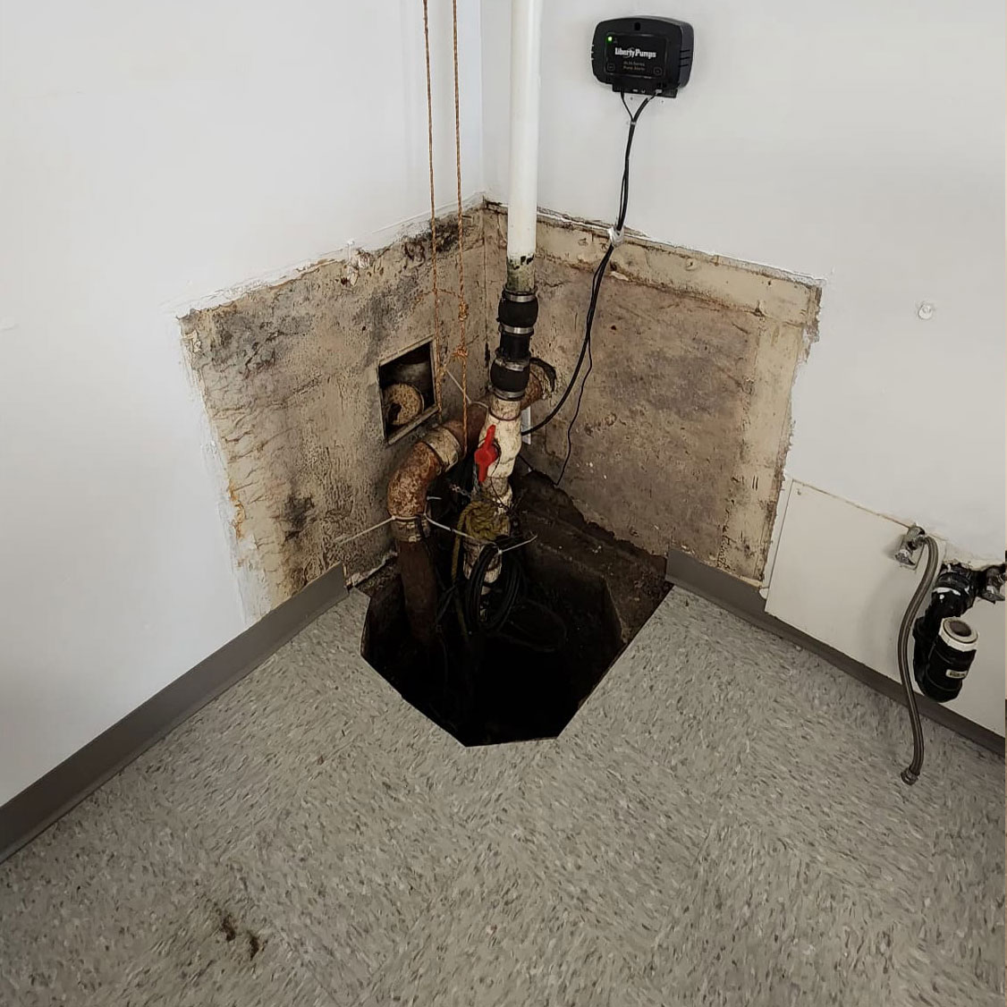 Open and exposed sump pump